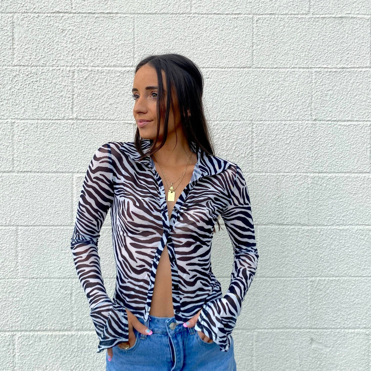 Party Time Zebra Long Sleeve - FINAL SALE