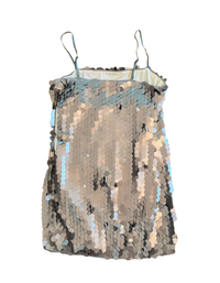 More To Come - Yarina Mini Dress - Matte Silver  - S (Like New)