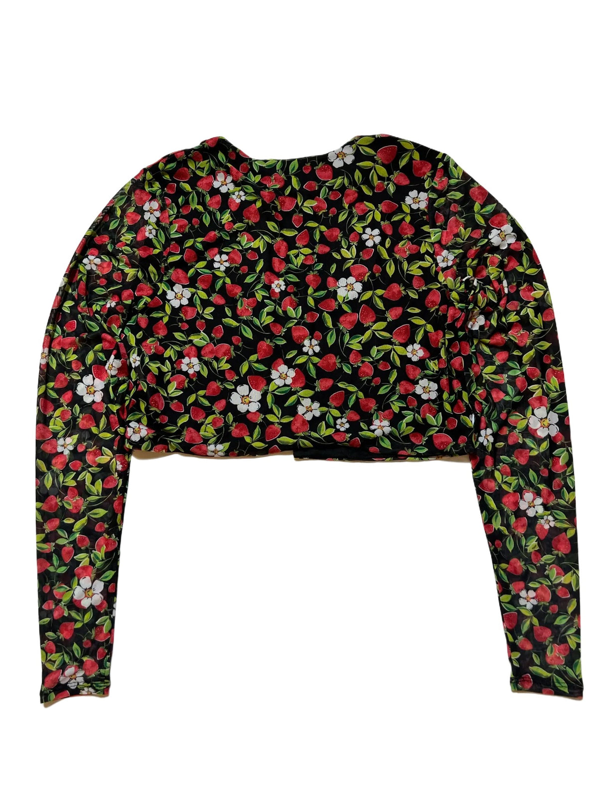 AFRM- Strawberry Print Mesh Long Sleeve Tie Front Top