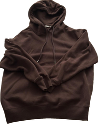 GU - Brown Hoodie