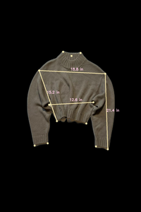 Wilfred Free - Brown Crop Turtleneck